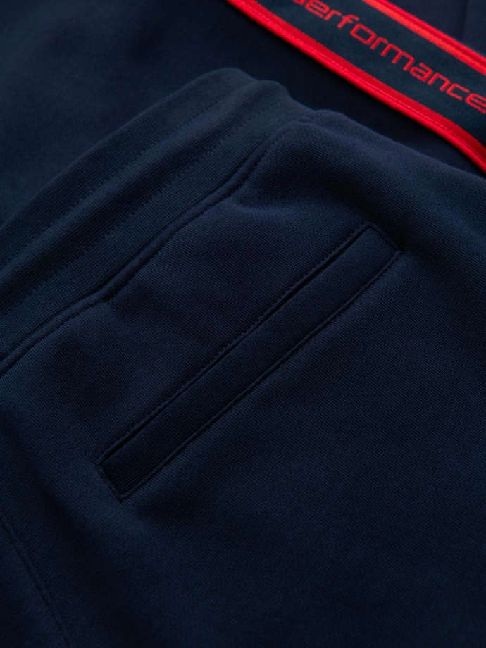 Men's sports jogger pants with stripes - navy blue V3 OM-PASK-0284