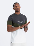 Men's cotton tricolor t-shirt with logo - graphite/olive V9 S1747