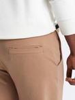 Men's sweatpants with logo - brown V3 OM-PASK-0167