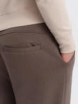 Pantaloni de trening pentru bărbați cu cusături și fermoar pe picior - maro V4 OM-PASK-0147