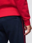 Men's sports jogger pants with stripes - navy blue V3 OM-PASK-0284