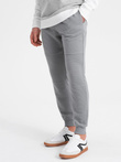 Men's ottoman fabric sweatpants - gray V5 OM-PASK-0129